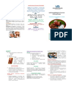 Triptico Gestion y Bioetica (Mary)