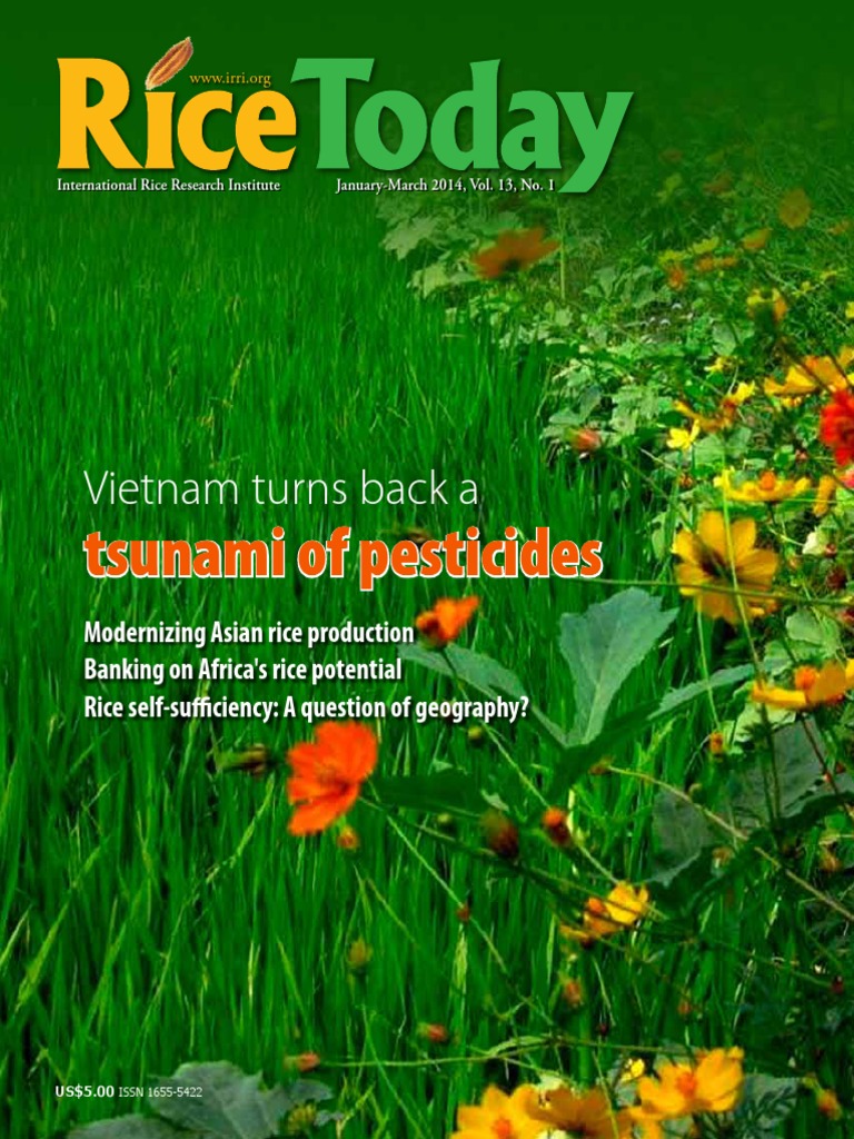 Rice Today Vol. 13, No. 1 | PDF | International Rice Research Institute ...