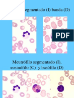 Atlas a Color de Hematologia