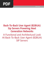 Back-To-Back User Agent (B2bua) Sip Servers Powering Next Generation Networks