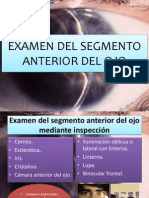 Examen segmento anterior ojo