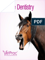 Equine-Dentistry Brochure S