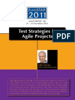 Test Strategies in Agile Projects