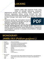 MONOGRAFI