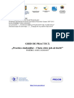 Ghid de Practica - 81655 PDF