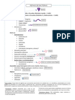 Guía Antibióticos Esquemática PDF