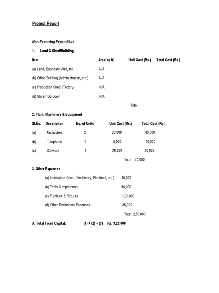 Project Report on Capital Expenditure | PDF