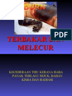 Terbakar Dan Melecur366