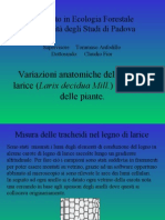 Variazioni Anatomiche Del Legno Di Larice (Larix Decidua Mill.) Ed Altezza Delle Piante.