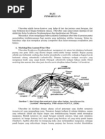 Download Ubur-UburAureliaAuritabyGyanRiezaSN199934462 doc pdf