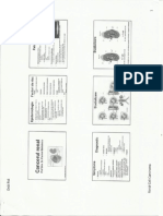 Cancerul Renal Testicular Prostata