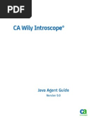 CA Wily Introscope