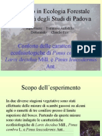 Conforto delle caratteristiche ecofisiologiche di Pinus cembra L., Larix decidua Mill. e Pinus leucodermis Ant.