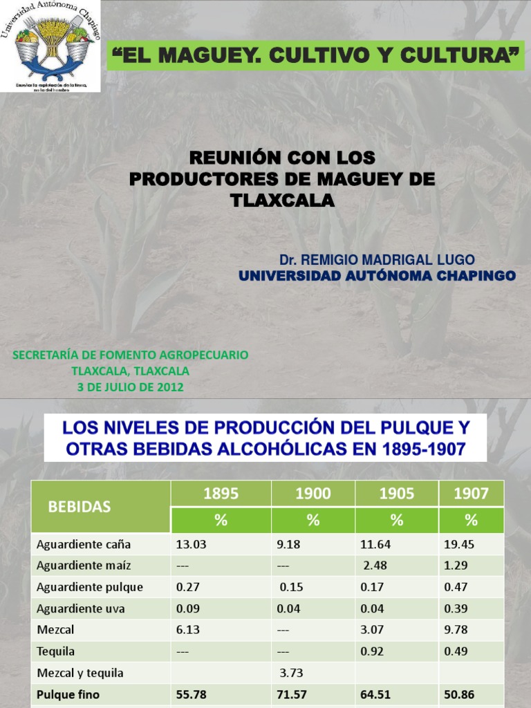 El Maguey Cultivo y Cultura Combustible de etanol México