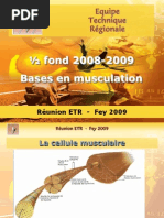 Theorie Musculation Musculation Contraction Du Muscle