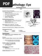 Common Optometry Abbreviations List | PDF | Glaucoma | Visual System