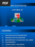 Control M Curso