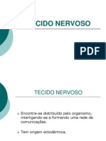 Tecido Nervoso