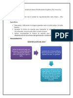 Info 1 Del Bioterio Sip