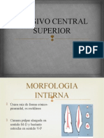 Incisivo Central Superior Endo