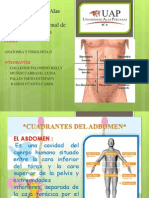 Anatomia