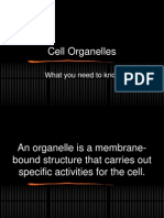 Cell Organelles: What You Need To Know