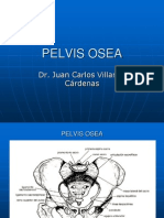 Pelvis y Canal Del Parto 07