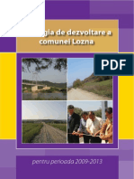 LOZNA - Plan Strategic de Dezvoltare Pentru Perioada 2009 -