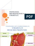 Periartrita Scapulo-Humerala-20140115-210621