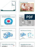 Intrinsic and extrinsic factors affecting microbial growth in foods