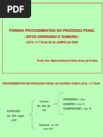 Apresentacao - Formas Procedimentais- Rito Ordinario e Sumario - 2013
