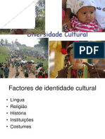 c Diversidade Cultural