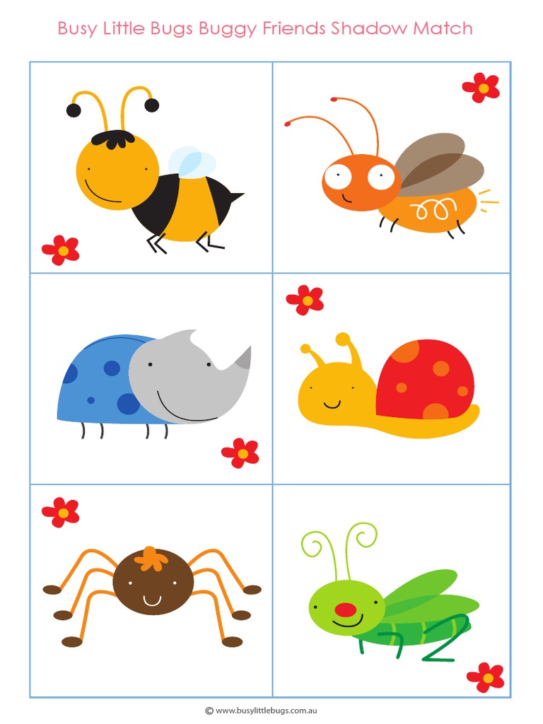Shadow Match Activity for Kids | PDF | Home & Garden