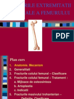 Fracturi Femur