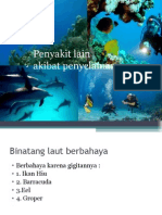 Penyakit Lain Akibat Penyelaman