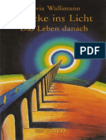 Silvia Wallimann - Brücke Ins Licht - Das Leben Danach