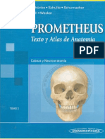 Prometheus. Cabeza y Neuroanatomia