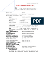 Informe Tecnico Mensual