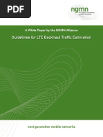 Guideline For LTE Backhaul Traffic Estimation