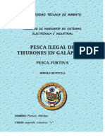 Pesca Ilegal de Tiburones