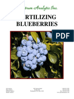 Fertilizing Blueberries