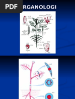 Download AKAR by cHuAz TeeKaa SN20015048 doc pdf