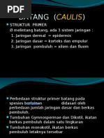 Download BATANG by cHuAz TeeKaa SN20015132 doc pdf