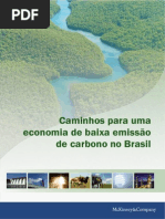 MCKINSEY & COMPANY. Caminhos para uma economia de baixa emissão de carbono no Brasil, 2009