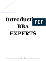 Source Code of BBA Experts