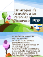 Estrategias de Atencion A La Persona Con Discapacidad