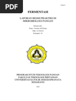 Laporan Praktikum Mikrobiologi Pangan - Fermentasi