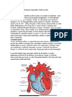 Anatomia Aparatului Cardiovascular