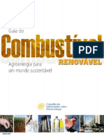 Guia de comb renovvavel.pdf