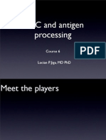 Lecture 7 MHC Antigen Processing
